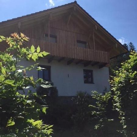 Апартаменты Schweizer Haeusl Байериш-Айзенштайн Экстерьер фото